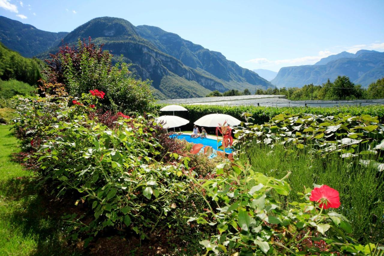 Engadiner Apartments & Wines Montagna Eksteriør billede