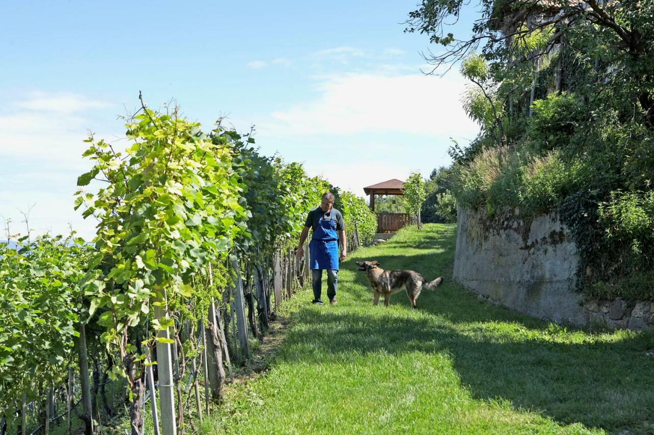 Engadiner Apartments & Wines Montagna Eksteriør billede